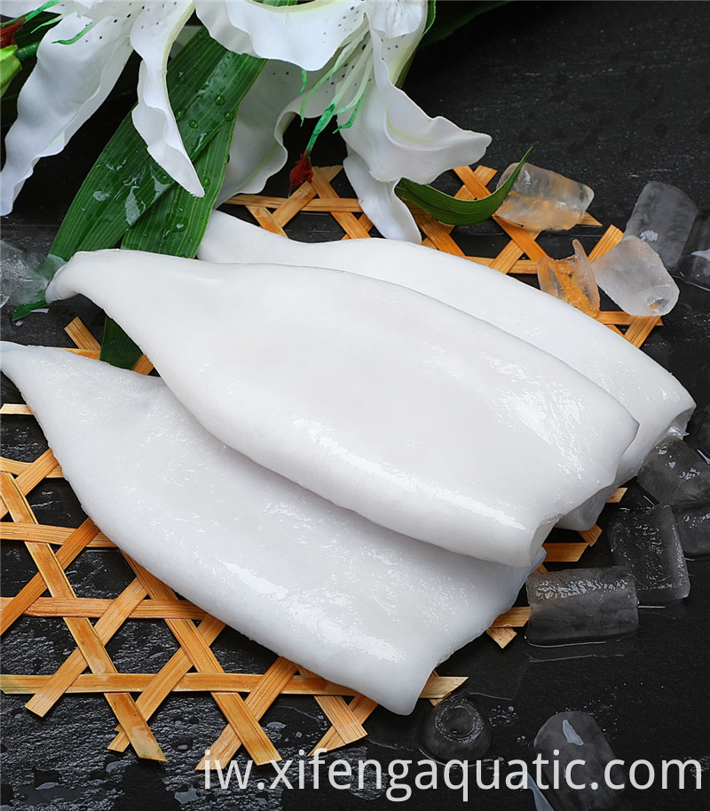 דוסידיקוס גיגאס Dosidicus Gigas